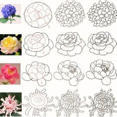 several different types of flowers are shown in this drawing lesson for children to learn how to draw