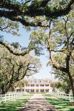 a large white house surrounded by trees on a lush green field with a path leading to it