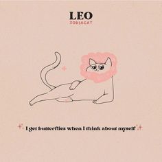 an image of a cat with pink hair on it's head and the caption leo zodiac cat i got butterflies when i think about my self