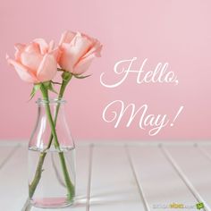 two pink roses in a clear vase on a white wooden table against a pink wall