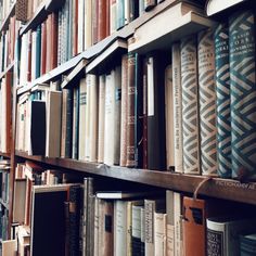 many books are lined up on the shelves