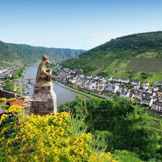 📍 Cochem, Germany

Book a Viking Voyages European river cruise before January 30th to get:

✅ FREE International Airfare
✅ $25 Deposit
✅ $100 Onboard Credit
✅ All-Inclusive Voyages from $1,999

#VikingVoyages #Cruisedeals #Travelagent