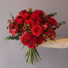 Red Alstroemeria Day Bouquet Hand - Image Red Alstroemeria, Alstroemeria Flower, Red Rose Bouquet Wedding, Red Flower Arrangements, Red Flower Bouquet, Homecoming Flowers, Red Bridal Bouquet, White Rose Bouquet, Orange Wedding Flowers