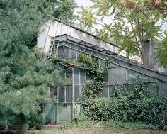 an old greenhouse with vines growing on it