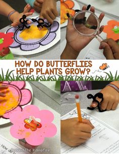 how do butterflies help plants grow? with pictures of hands and flowers on paper plates