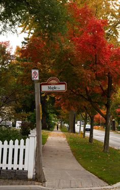 a street sign on the side of a road next to trees with red and yellow leaves