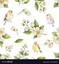 watercolor seamless pattern with flowers and birds