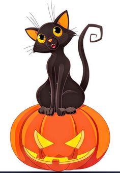 a black cat sitting on top of a pumpkin