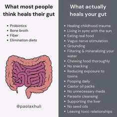 Gut Cleansing, Lifestyle Medicine, Cellular Health, دورة شهرية, Brain Facts, The Healing Process