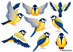 different kinds of birds flying in the air with their wings spread wide open and spread out