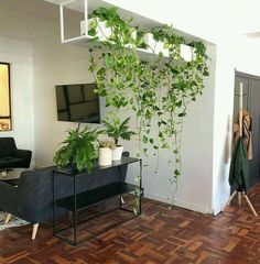 a living room with some plants on the wall