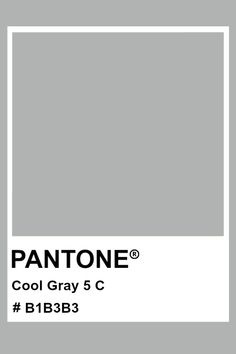 PANTONE Cool Gray 5 C #pantone #color #PMS #hex