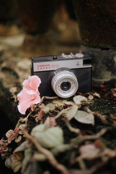 an old camera sitting on top of a moss covered tree branch with a flower in front of it