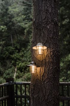 two lights are hanging from the side of a tree