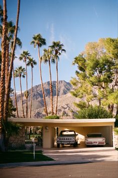 two cars parked in front of a house with palm trees and mountains in the background