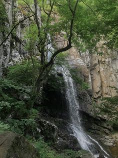 a large waterfall in the middle of a forest