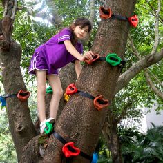 Highlights 12 climbing holds 6 ratchet straps Colorful design 3 shapes 230 lbs weight limit The Little Primates Prime Climbing Set is a safe and strong set of climbing holds for kids to begin learning how to climb, even from a very young age. The climbing holds can be fastened to a tree at varying distances, depending on how closely or widely you space the holds apart. Simply find a tree in your garden or local park, tightly secure the climbing holds, and watch as your kids let out their inner p Kids Climber, Obstacle Course Training, Kids Tree, Backyard Playset, Wall Climbing, Kids Climbing, Climbing Holds, Tree Climbing, Rock Climbing Wall