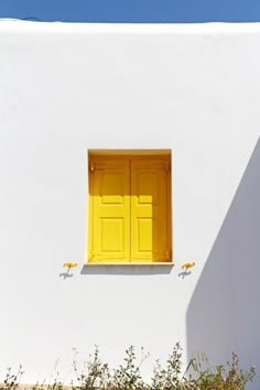 a white building with yellow shutters and a cat sitting on the window sill