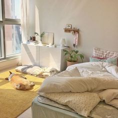 a dog laying on the floor next to a bed in a room with large windows