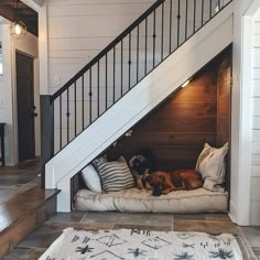 two dogs laying on their beds under the stairs in a house that has been built into the wall