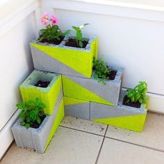 four cement planters with plants growing in them