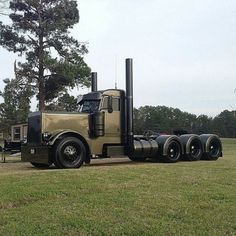 a large semi truck parked on top of a grass covered field next to a tree