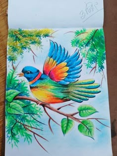 a drawing of a colorful bird on a tree branch