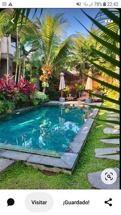 an outdoor swimming pool surrounded by tropical plants