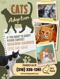 an advertisement for cats adoption with pictures of cats