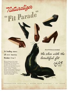 an advertisement for the footwear brand, featuring shoes and cat's feet in different styles