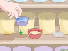 a mouse is eating out of a bowl in front of some containers with food on them