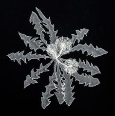 a snowflake is shown in the dark with white frost on it's surface