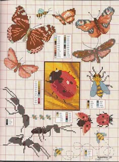 a cross stitch pattern with bugs and butterflies