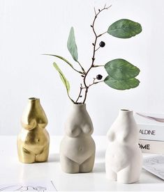 three vases with plants in them sitting on a table next to books and magazines