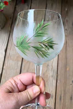 a person holding up a wine glass with water and greenery on the rims