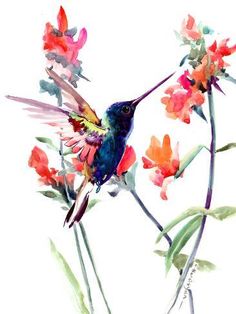 a watercolor painting of a hummingbird and flowers