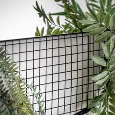 green plants are growing on the side of a metal screen wall in front of a white tiled wall