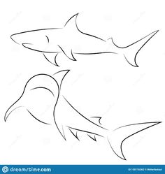 two sharks swimming together in the ocean, one black and white outline on a white background