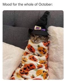 a cat wearing a witches hat laying on top of a blanket with the caption, mood for the whole of october