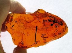 a hand holding an orange piece of glass in it's left hand, with black spots on the surface