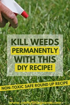 a hand holding a marker in the grass that says kill weeds permanently with this diy recipe