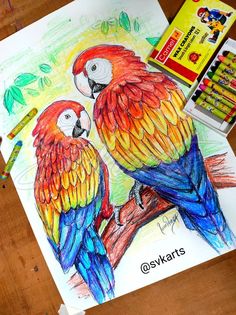 two colorful parrots sitting on a tree branch next to crayons and markers