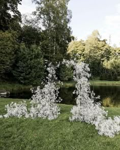 some white flowers sitting in the grass near a body of water with trees behind it