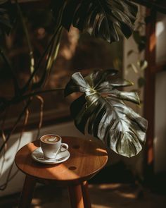 a cup of coffee sitting on top of a wooden table next to a green plant