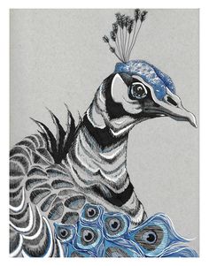 a drawing of a peacock with feathers on it's head