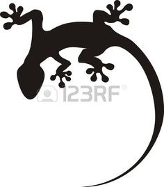 a gecko silhouetted against a white background