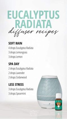 Eucalyptus Radiata, Diy Essential Oil Recipes, Young Living Essential Oils Recipes, Oil Remedies, Yl Essential Oils