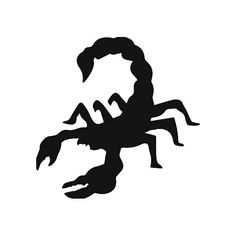 the silhouette of a scorpion on a white background