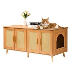 a cat laying on top of a wooden cabinet