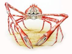 a drawing of a crab on the sand